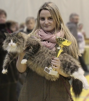 SC Edda Edelweiss du Valldall, DVM Best in Show